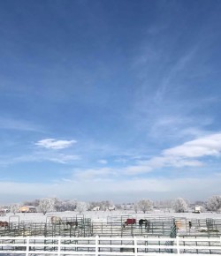 Photo Challenge: Everything Is Frozen