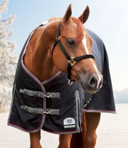 SmartPak Monday Morning Feed: Blanket Blowout!