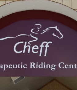 Standing Ovation by Ovation Riding