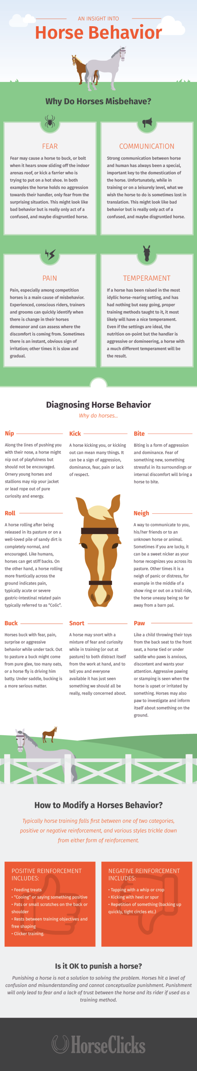 Infographic Horse Behavior HORSE NATION