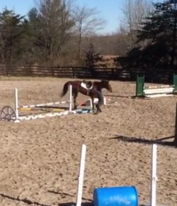 ‘Oh Crap’ Monday