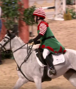 SpectraVET Performance of the Week: The Elf & The Turkey