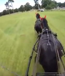 World Equestrian Brands Helmet Cam: Tandem Driving