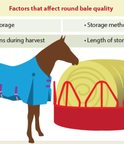 Kentucky Performance Products: Tips For Feeding Round Bales