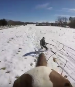 ‘Oh Crap’ Monday: Skijoring Edition