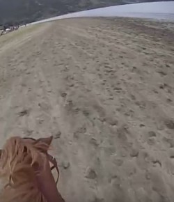 World Equestrian Brands: Ridiculously Epic New Zealand Cross Country Race