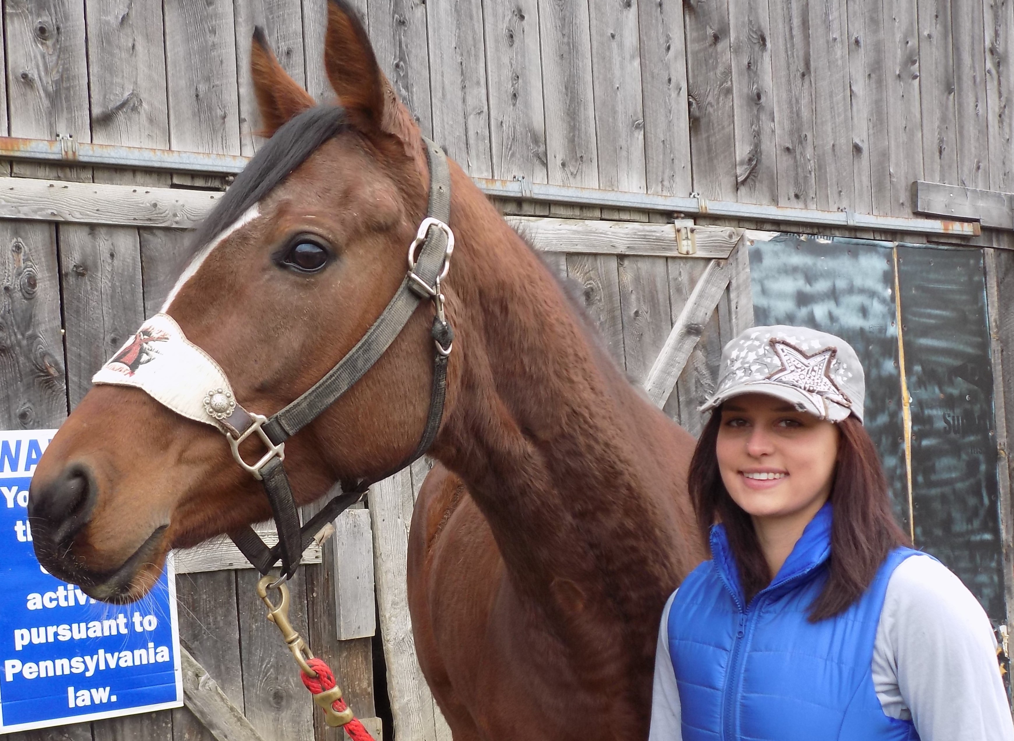 Retired Racehorse Project Showcase Meet the Riders Part II HORSE NATION