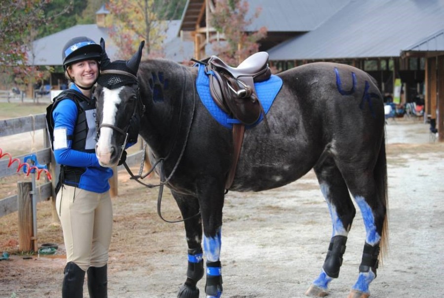 a Breyer Meet ‘Repeat the Beat,’ the Jumping Tennessee Walking Horse HORSE NATION