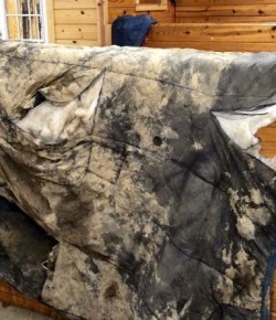 Photo Challenge: 2017 State of the Blanket Address