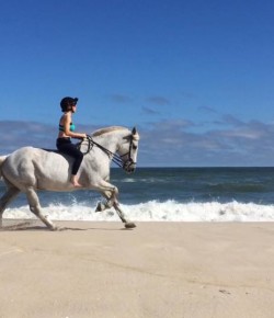 Photo Challenge: Life’s a Beach