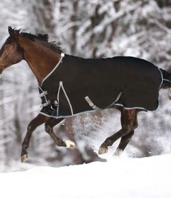 SmartPak Monday Morning Feed: 20% Off SmartPak Brand!