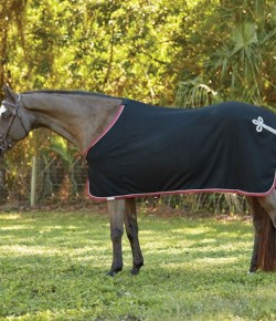 SmartPak Presidents’ Day Morning Feed