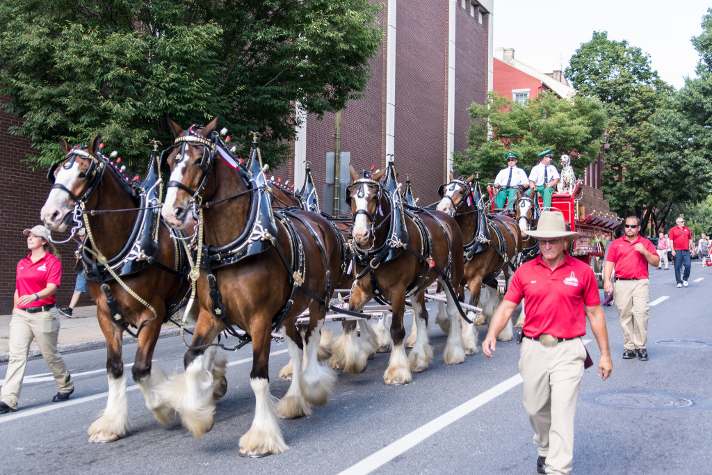 Beyond Budweiser Looking Back at Other Great Draft Hitches HORSE NATION