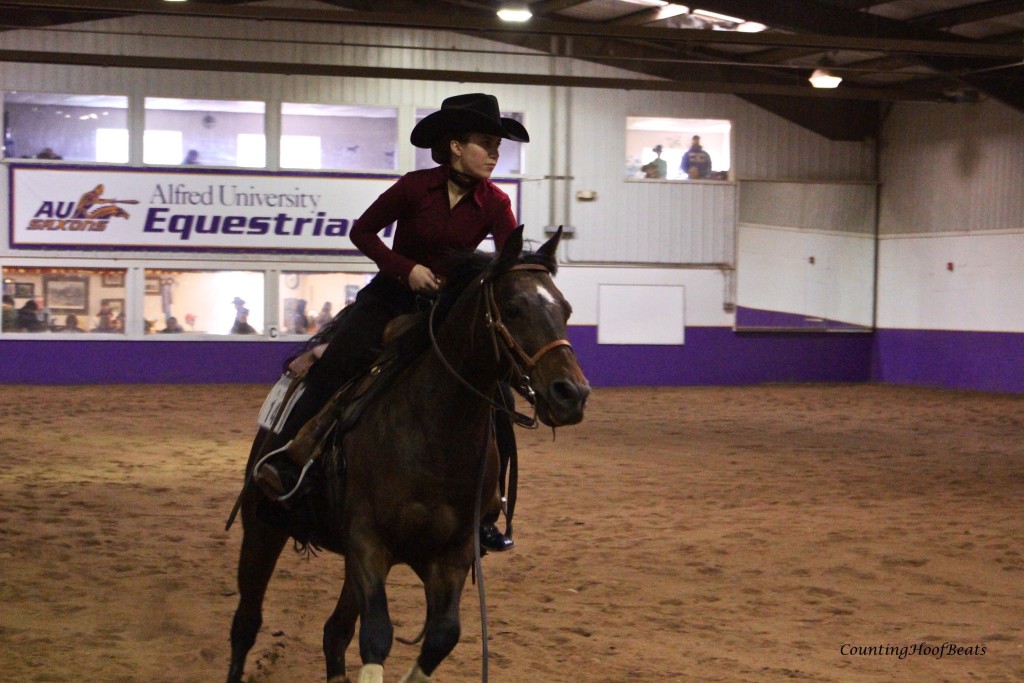 The Academic Equestrian: Serving As the Scribe | HORSE NATION