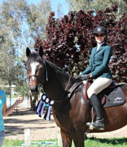 17 Reasons to Start (or Keep On) Horse Blogging