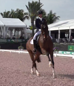 SpectraVET Performance of the Week: Laura Graves and Verdades Conquer Wellington