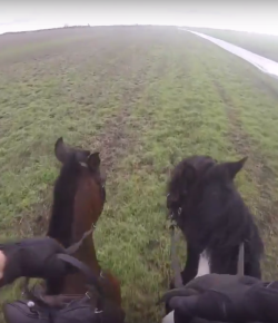 World Equestrian Brands Helmet Cam: Roman Riding