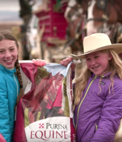 Standing Ovation by Ovation Riding: Purina & Clydes Team Up For ‘A Home For Every Horse’