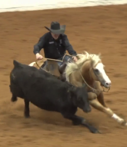 SpectraVET Performance of the Week: John Swales