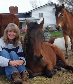 Standing Ovation by Ovation Riding: Kidznhorses Outreach