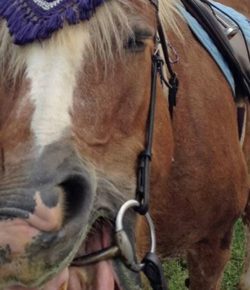 Photo Challenge: 8 Great Big Yawns