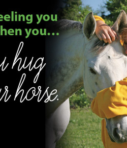 Kentucky Performance Products: That Feeling You Get When You Hug Your Horse