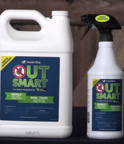 SmartPak Monday Morning Feed: OutSmart Fly Spray is Back!