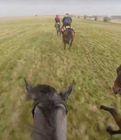World Equestrian Brands Helmet Cam: TB Gallop