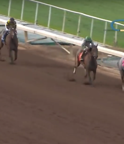 SpectraVET Performance of the Week: Unique Bella