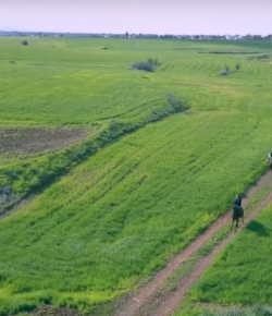 World Equestrian Brands Drone Cam: Country Ride