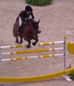 SpectraVET Performance: Edwina Tops-Alexander