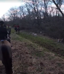 World Equestrian Brands Helmet Cam: Potomac Hunt
