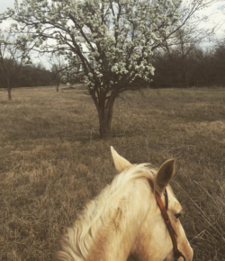 Photo Challenge: The First Days of Spring