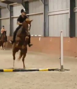 Kentucky Performance Products ‘Oh Crap’ Monday Classic