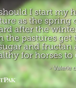 SmartPak Monday Morning Feed: Ask the Vet, April Edition