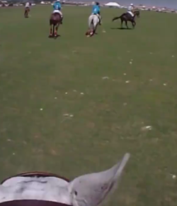 World Equestrian Brands Helmet Cam: Polo