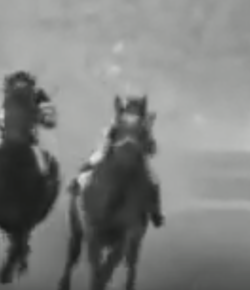 SpectraVET Classic Performance of the Week