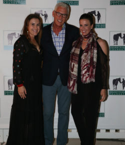 Standing Ovation by Ovation Riding