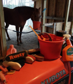 Photo Challenge: 3 Grooming Kits