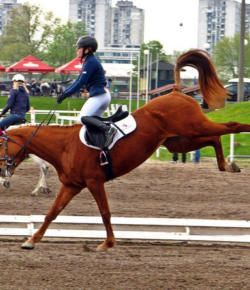 ‘Oh Crap’ Monday