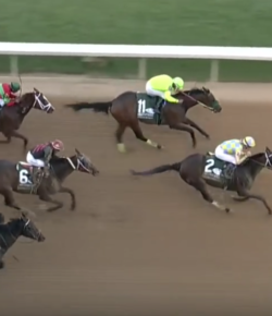 SpectraVET Performance of the Wk: Classic Empire