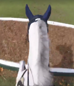World Equestrian Brands Helmet Cam: 2* XC With Laine Ashker