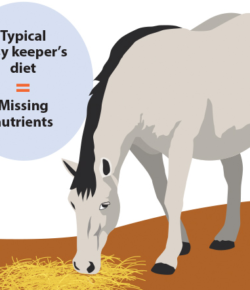 Kentucky Performance Products: Managing the Easy Keeper