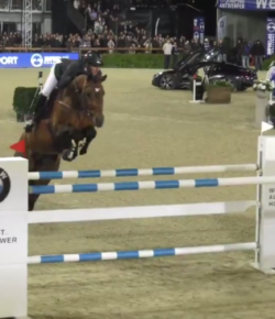 SpectraVET Performance of the Week