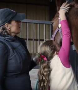 Standing Ovation by Ovation Riding: Time to Ride