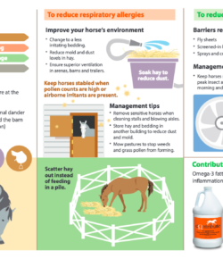 Kentucky Performance Products: Got Allergies?