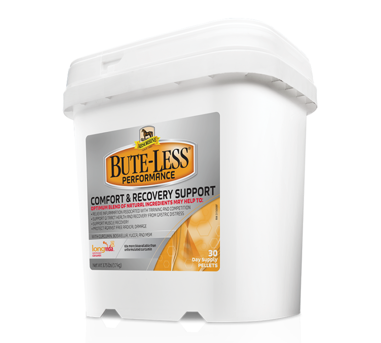Product Review Absorbine ButeLess Performance HORSE NATION Product Review Absorbine ButeLess Performance HORSE NATION