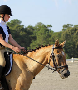 International Lesson Horse Day Essay Winner: Loosie