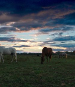 Photo Challenge: 33 Epic Barn Skies