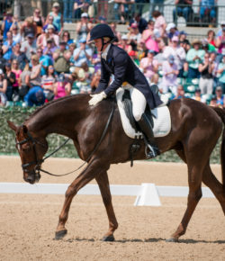 SpectraVET Performance of the Week: Arthur’s Last Dance